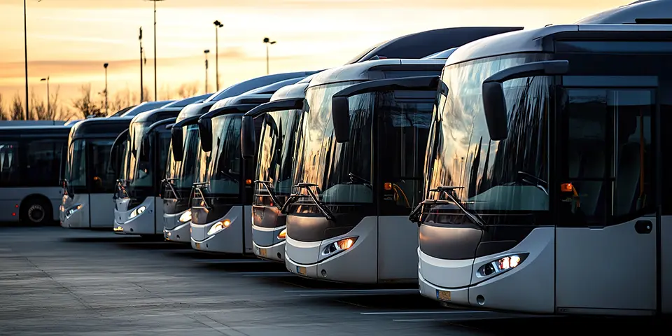 Row of modern buses parked at sunset, symbolising reliable and large-scale event transportation solutions